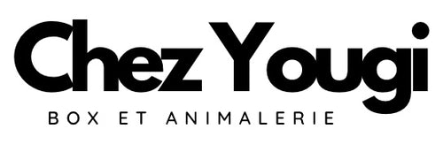 Chez Yougi