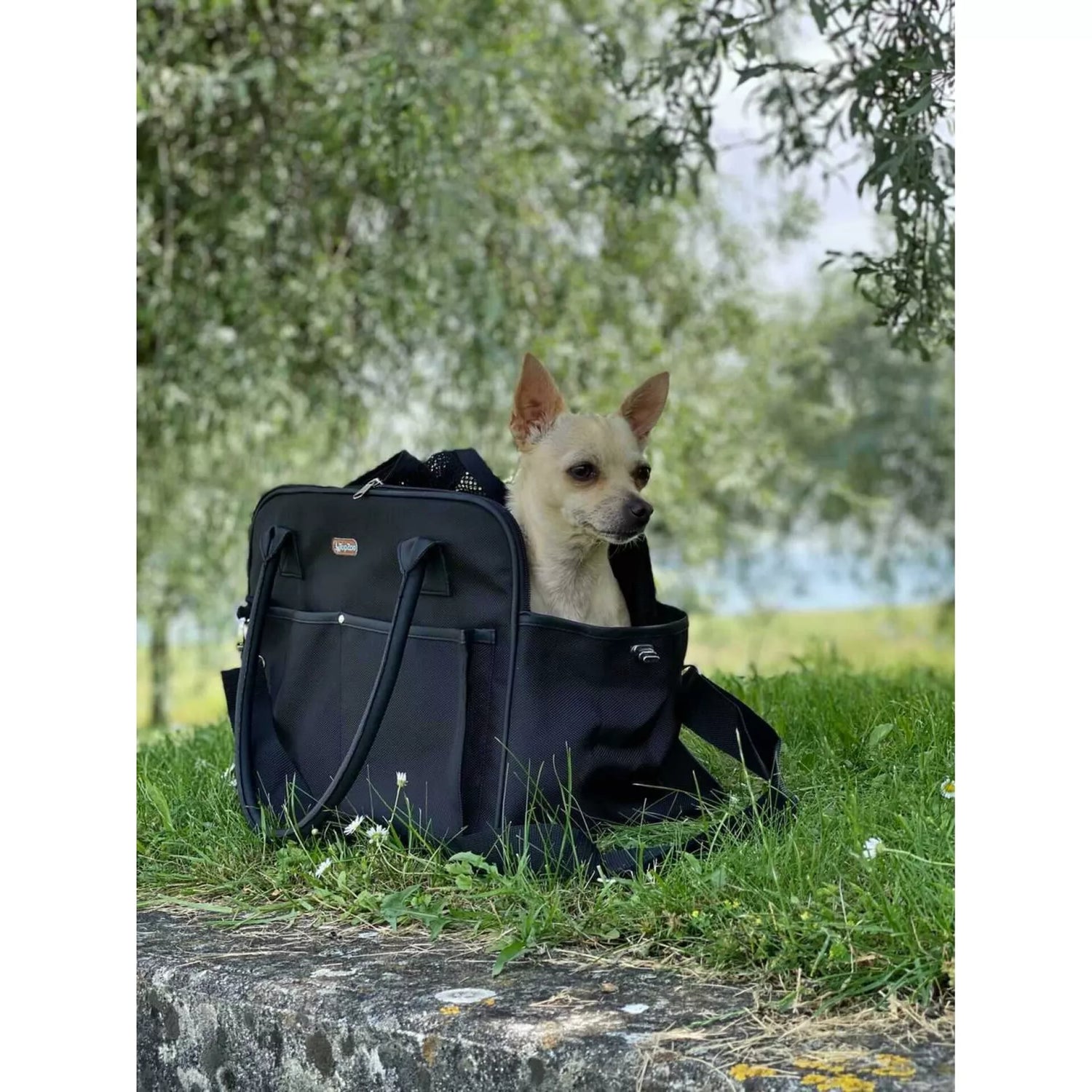 Sac de Transport pour Chien ou Chat – Noir